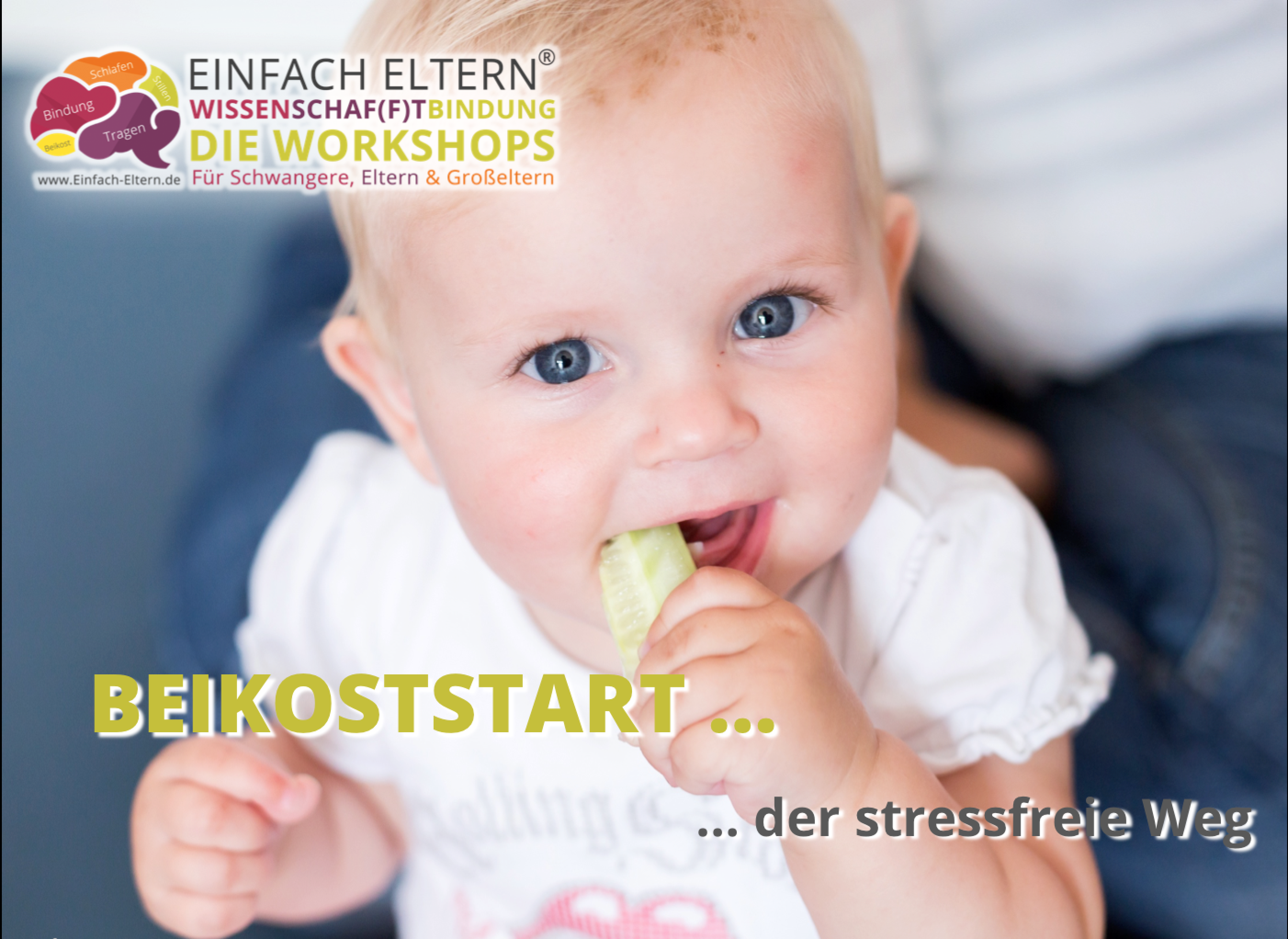 Beikoststart - Der Stressfreie Weg